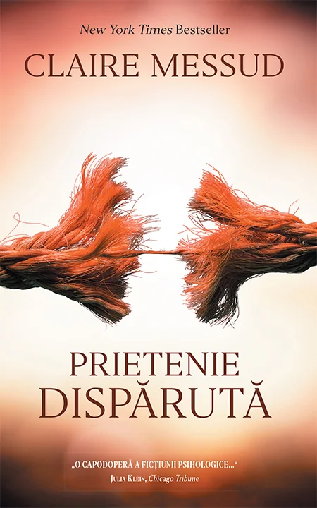 Prietenie disparuta