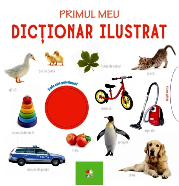 Primul meu dictionar ilustrat. Bebe invata