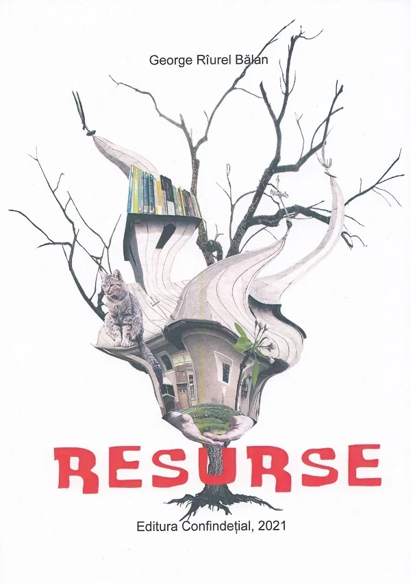 Resurse