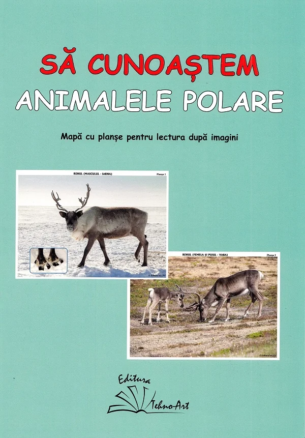 Sa cunoastem animalele polare