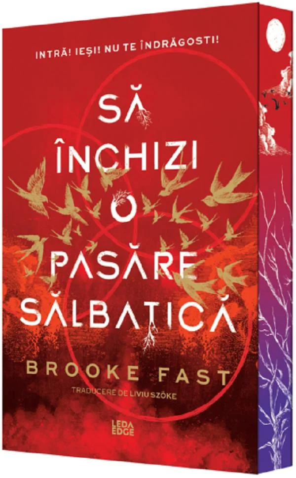 Sa inchizi o pasare salbatica. Seria Endlock Vol.1