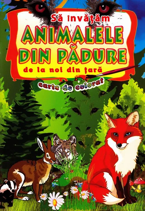 Sa invatam animalele din padure de la noi din tara - Carte de colorat