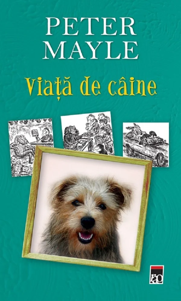 Viata de caine