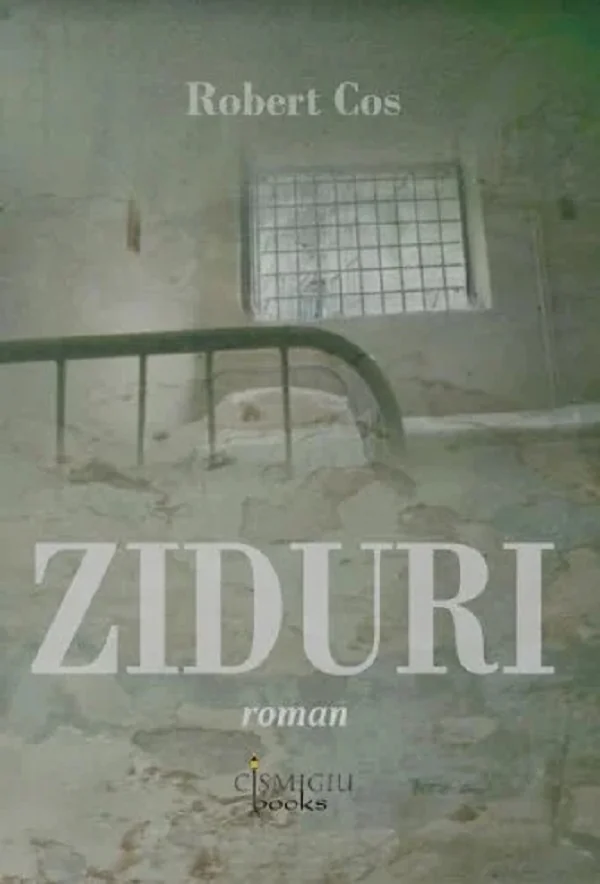 Ziduri